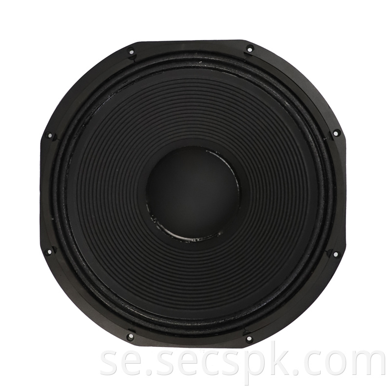 8ohm Stage Concert Speaker